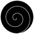 Void Monad